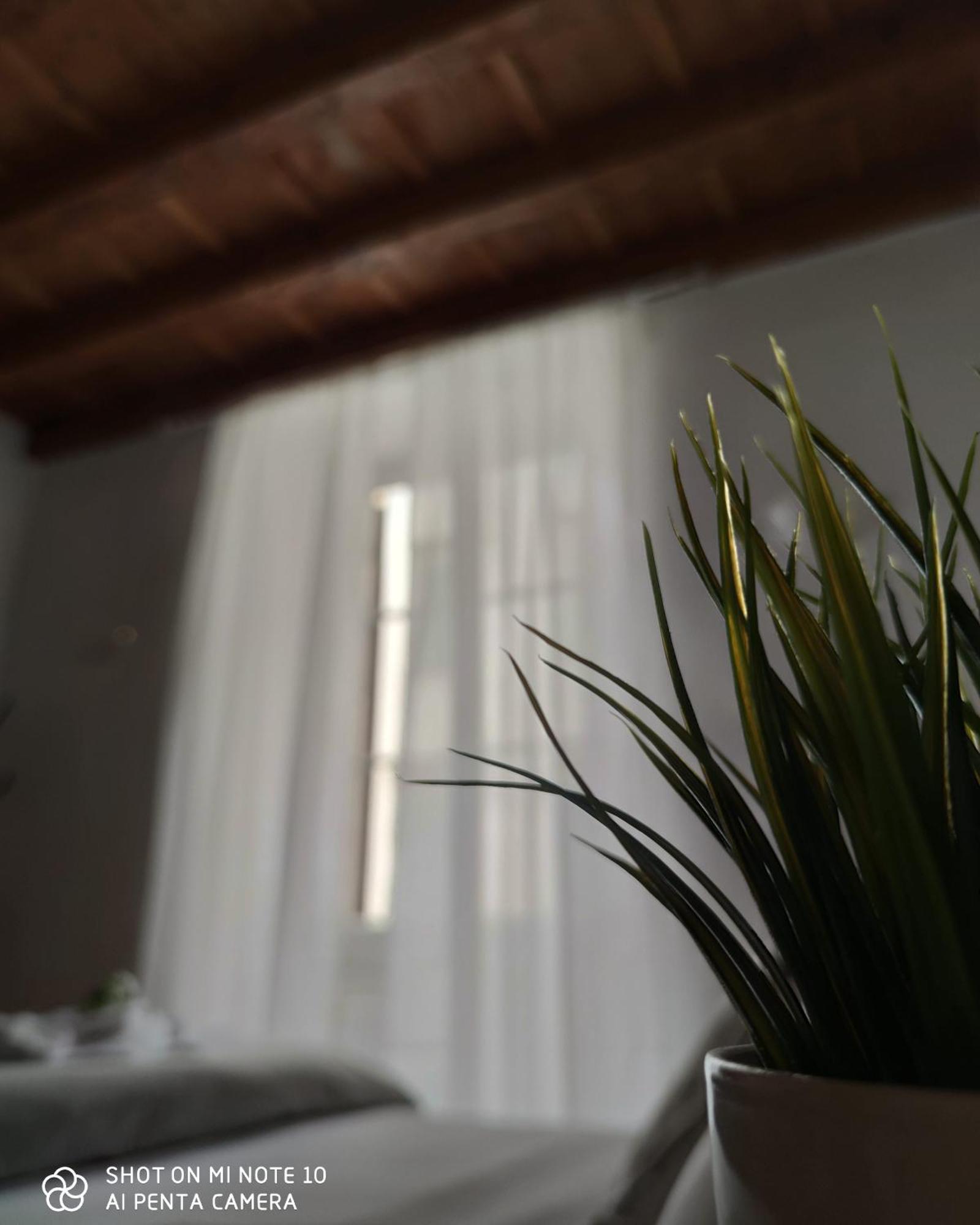 Dante'S Relais Otel Floransa Oda fotoğraf